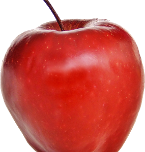 Fresh Apples