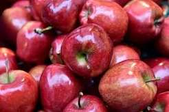 Red Apple