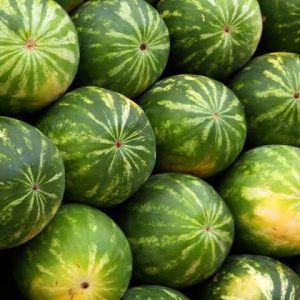 Watermelon