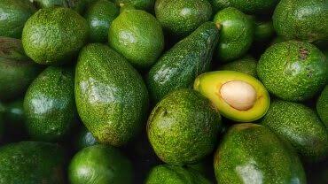 Fresh Avocado