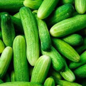 Cucumber