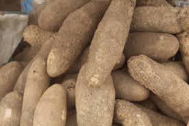 Yam