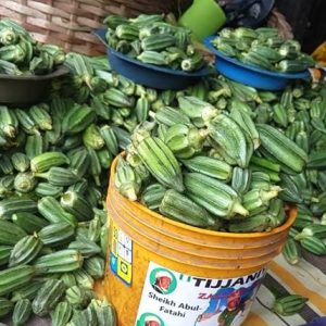 Fresh Okro