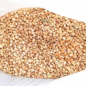 Honey Beans 2kg