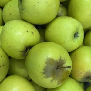 Apple - Green